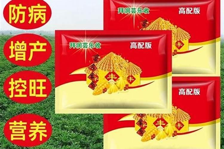 麦乐丰种小麦怎样用