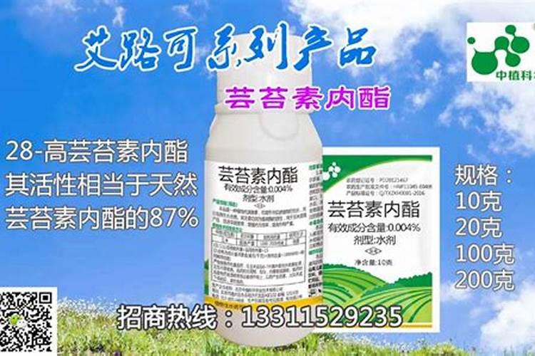 芸苔素可以解药害吗