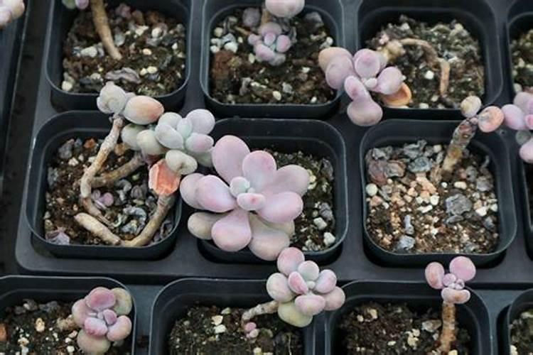 没用完的刀纸有啥用