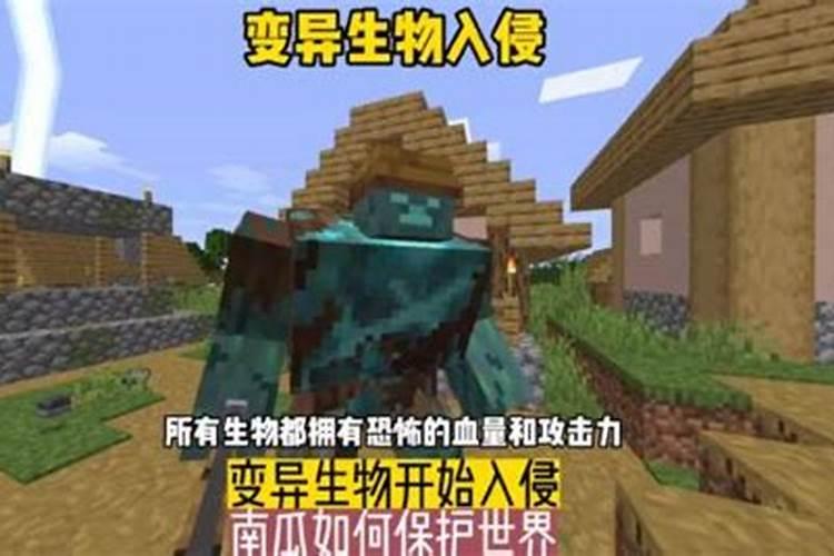 南瓜不结,参考百度上的办法后仍无改善该如何是好？