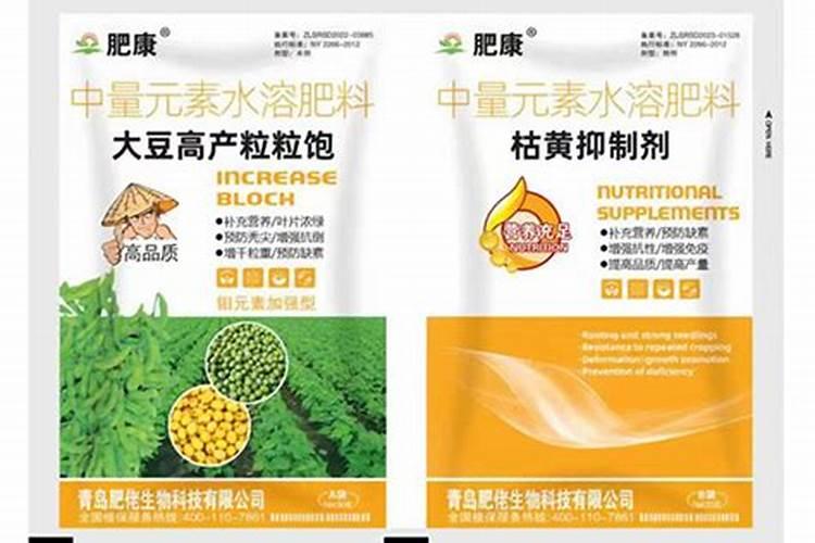 冬季兰花浇水的正确方法是什么