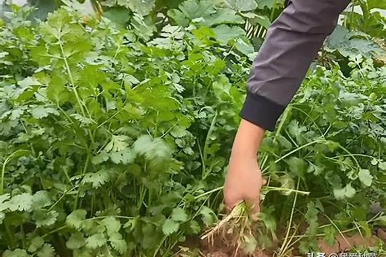 我被最子昂拥抱的男人威胁了在哪看