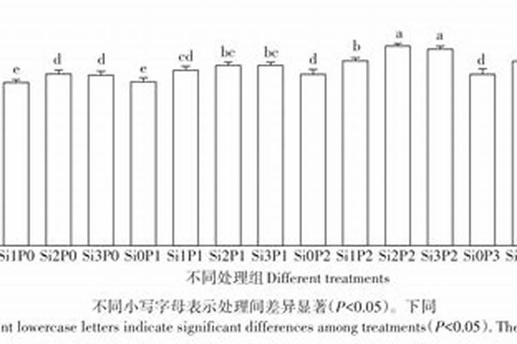 什么是硅肥？