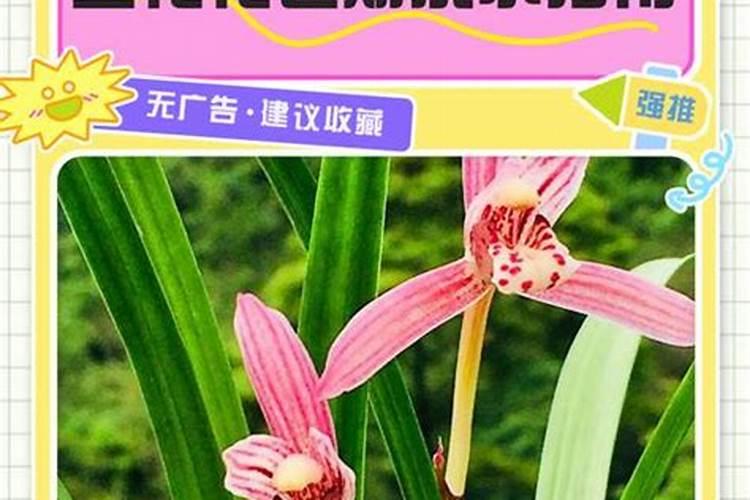 香灰烧成什么样是好香,香灰正常情况下是什么颜色的？