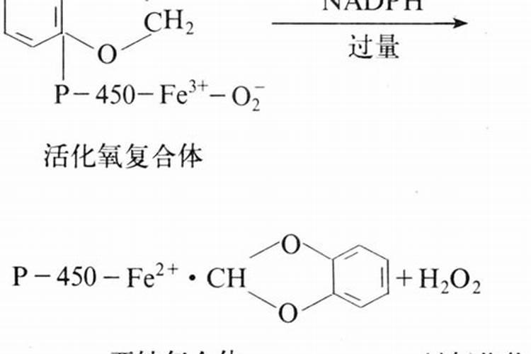 肥料增效剂(聚天冬氨酸)的使用方法与技巧