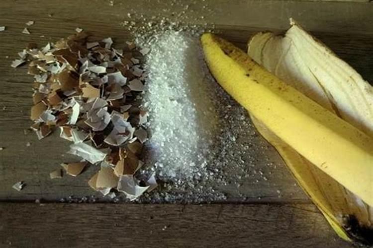香蕉皮水是氮肥还是磷肥？