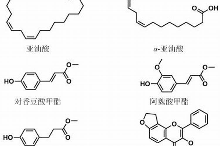 肥料增效剂哪个好