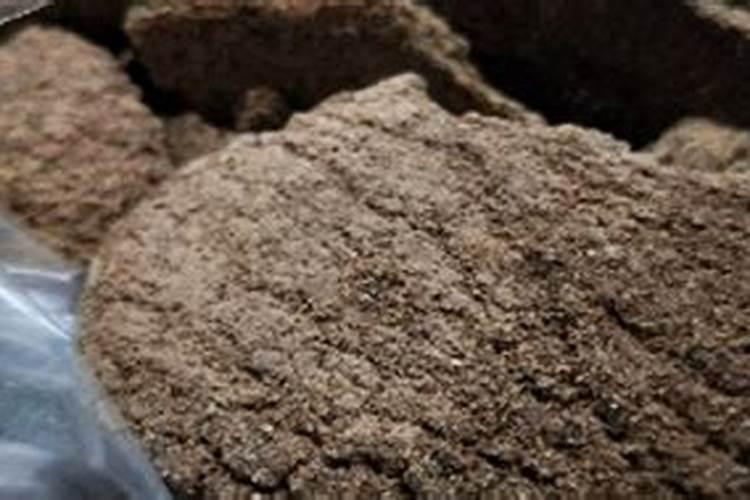 南方山上适合种什么果树