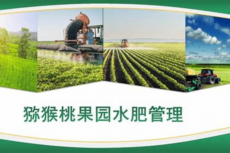 猕猴桃水肥一体化施肥技术,哪些肥料不能混配