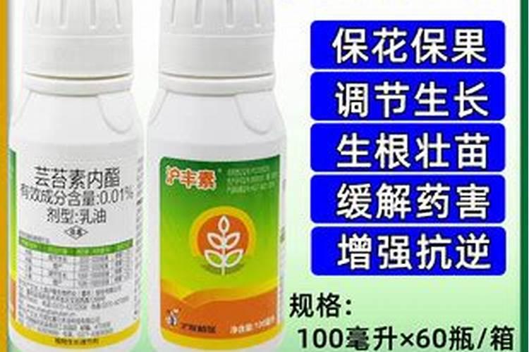 葡萄上怎么用芸苔素