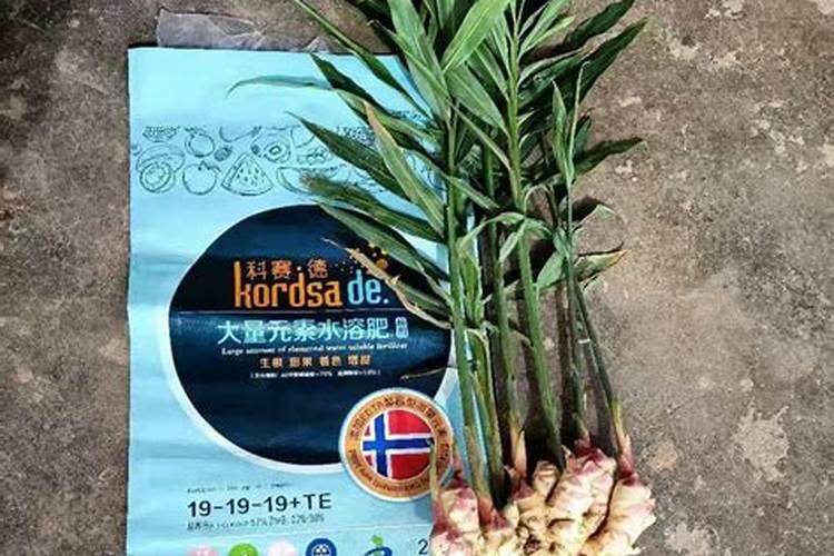 氨基酸水溶肥多少钱一袋