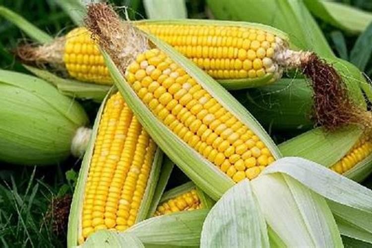 高乐高戚风蛋糕的做法 180度45分钟