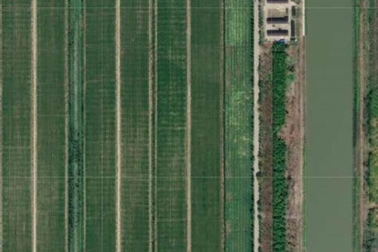 【你绝对没看过的】水光针头科普？!