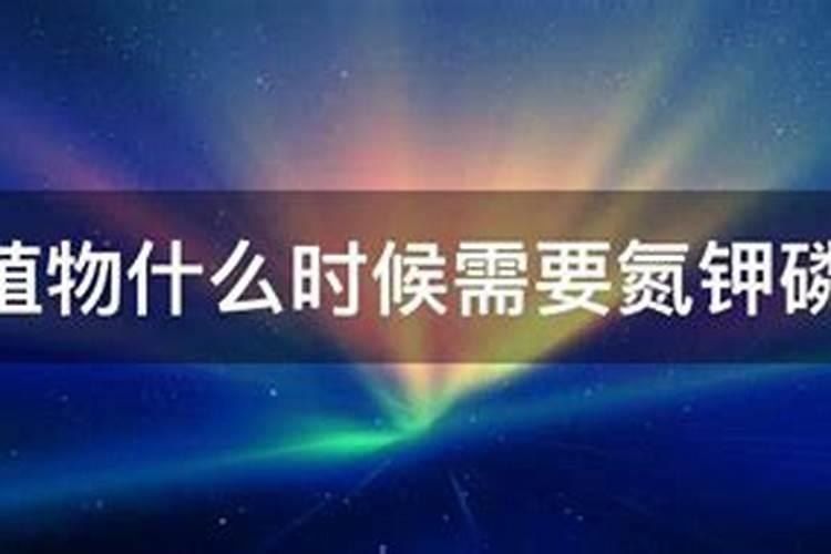 钾肥的正确使用方法 合理施用钾肥需要注意什么
