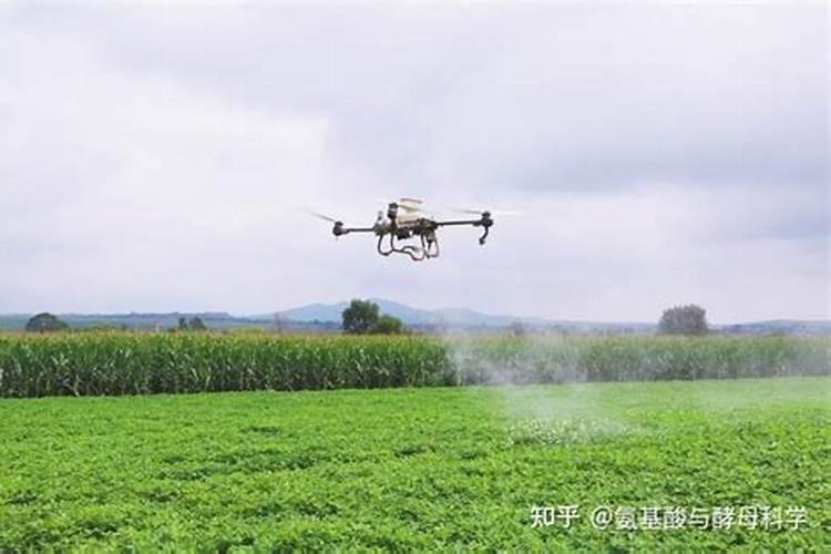 四川叶面肥农药厂家10强有哪些