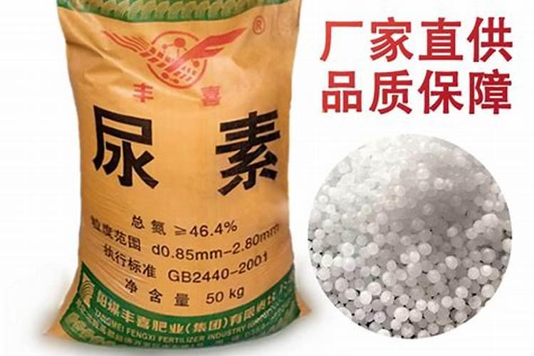 果树开花期能施尿素肥吗 快来看看吧