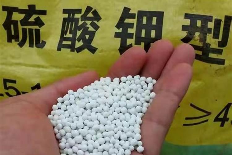 绣球花的施肥方法什么肥料好？