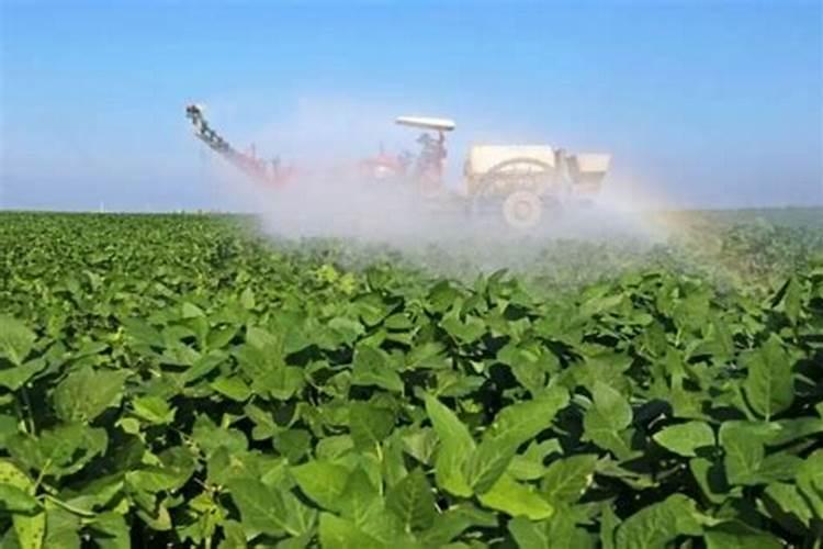 警惕肥料造假,了解甲酸钾水溶肥避免被“套路”