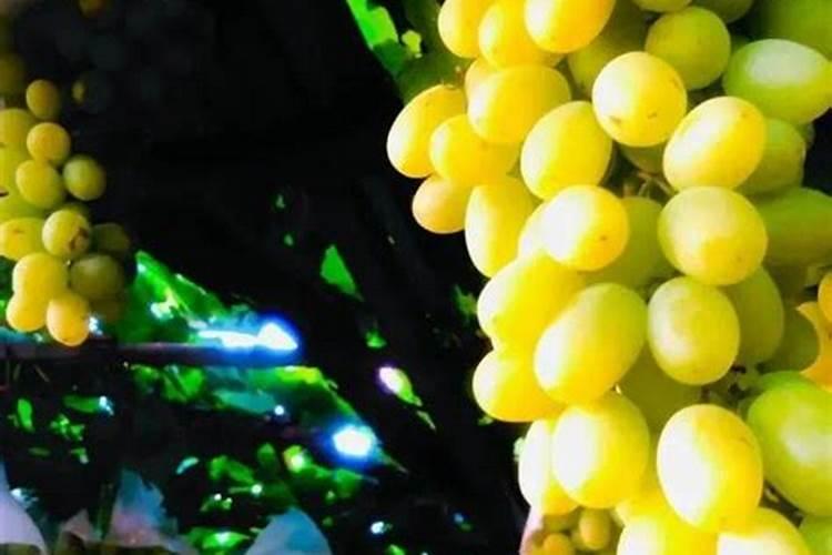 贵州省水稻种植主要集中在哪些地方？以及收割时间...我们要去收稻子 给...