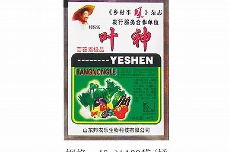 种植大蒜如何追肥、浇水？