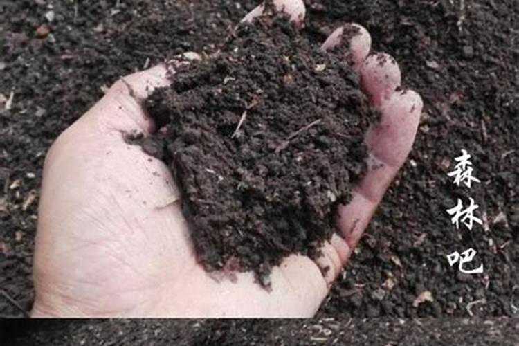 农用青霉素马铃薯一亩地用多少