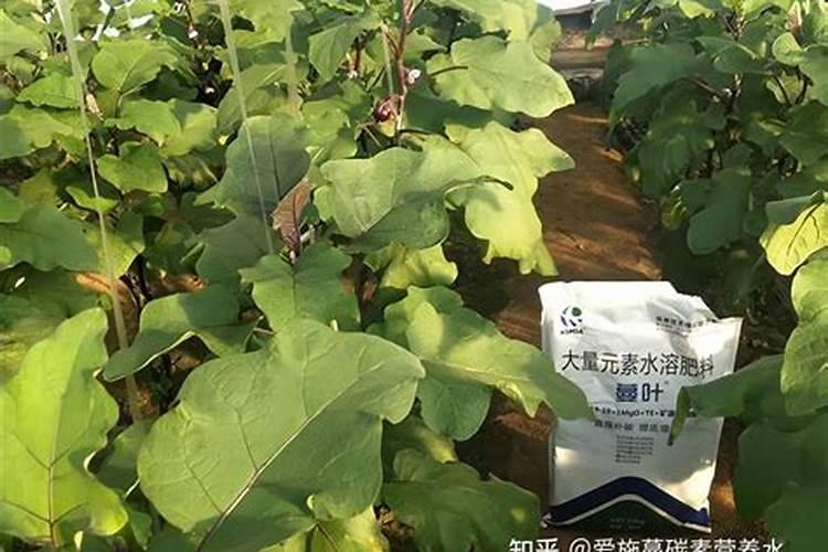 复合肥缩二脲的作用