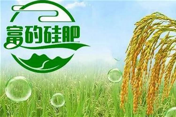 酸雨导致土壤酸化怎么办小妙招