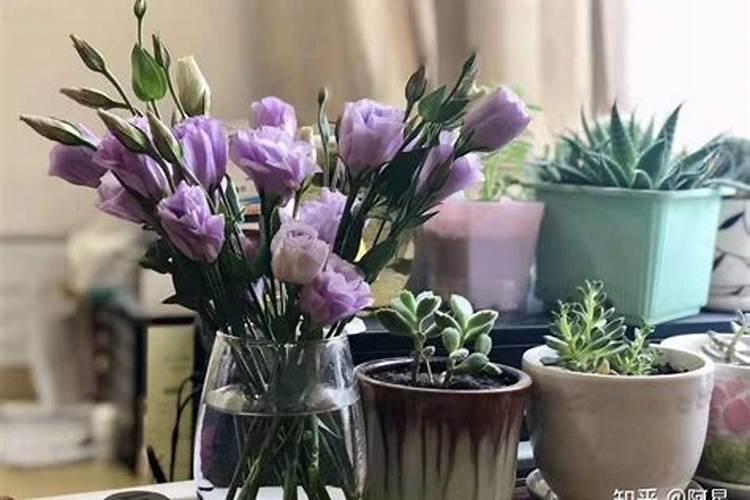 玉米怎样施肥最正确 附施肥时间