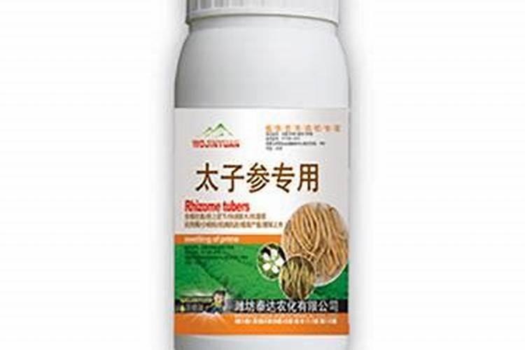 种了太子参的地能种植天南星吗？