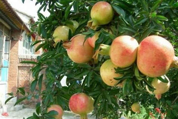 [002101]海南船运公司股票