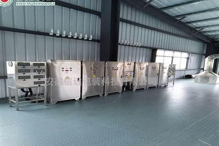 金弹子嫁接后要注意事项