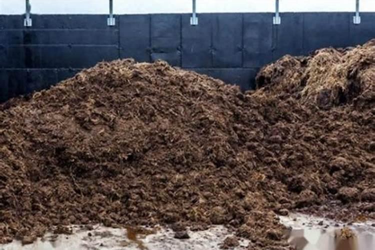 金正大集团排名