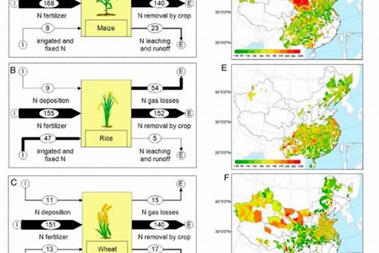 谁能告诉我松鳞是松树皮吗