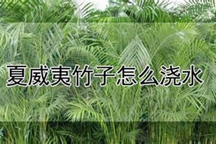 虎皮兰冬天多久浇水