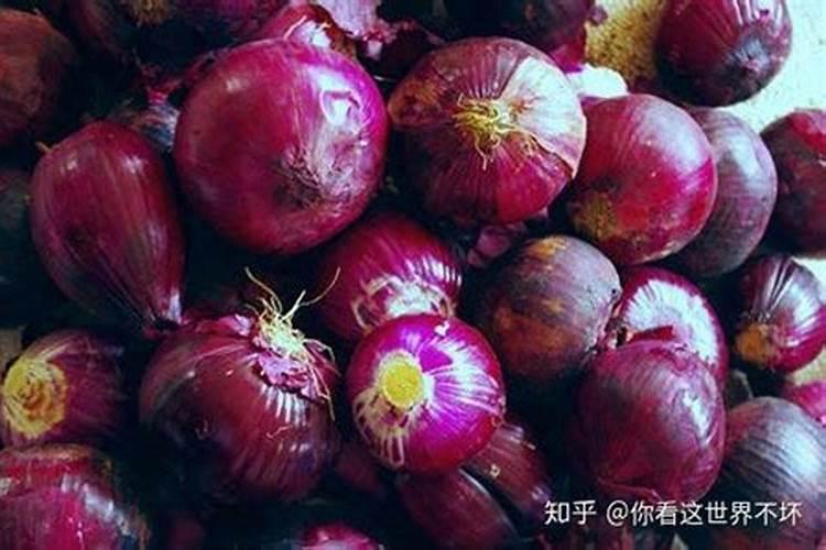 慈周寨第五村位于哪个市