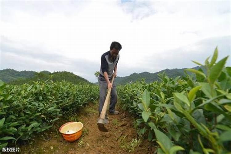 我国氯化钾主要产地