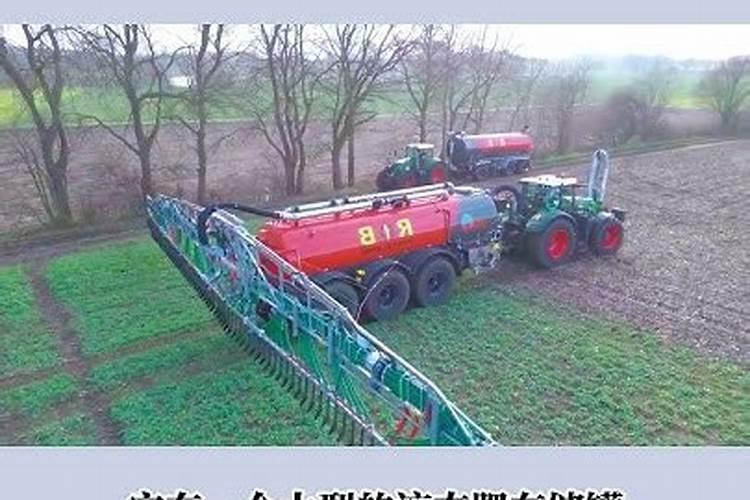 观叶植物用什么肥最好 如何施肥让叶子更油亮
