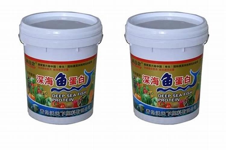 万寿菊的养殖方法和注意事项