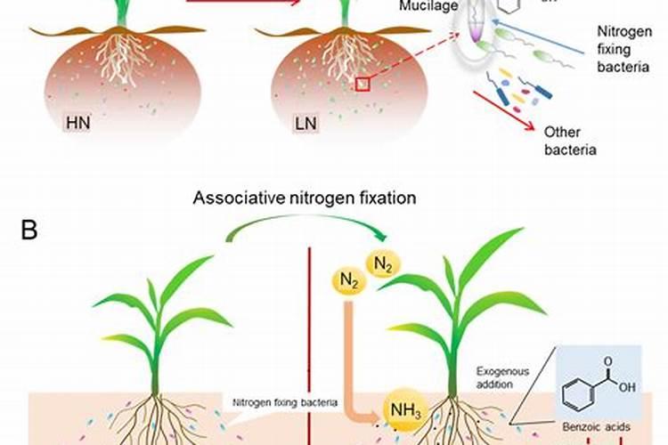 高一化学知识点归纳
