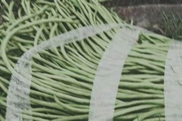 古代记载人才不被重用典故文言文