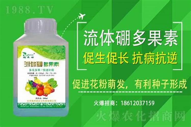 黄豆水发酵多久就可以浇花了