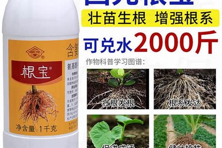 劲驼哪款肥料最好用