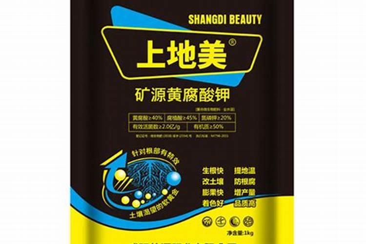 春天养花什么可以做为肥料,有什么好处
