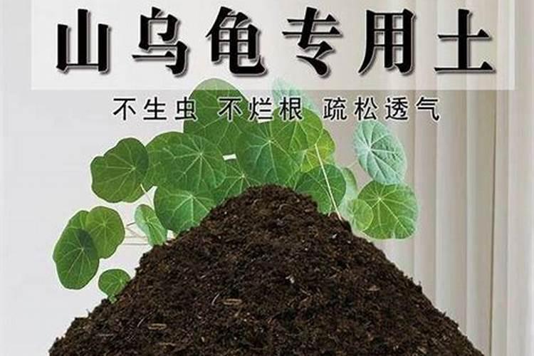 养花缺少酸性土壤？自己怎么弄,硫酸亚铁都省了