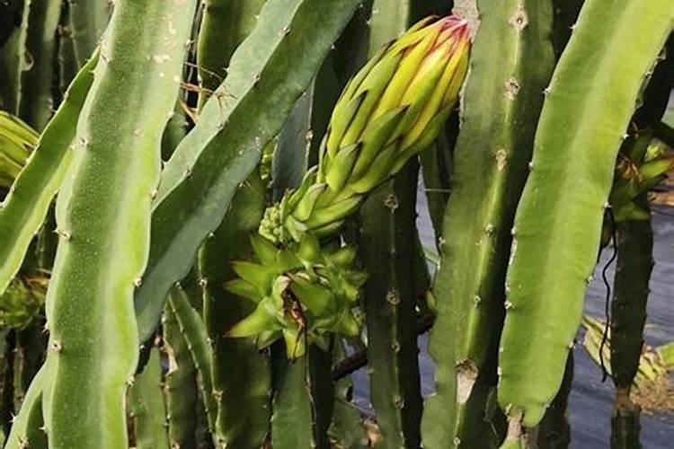 广州翠黛化妆品有限公司怎么样？