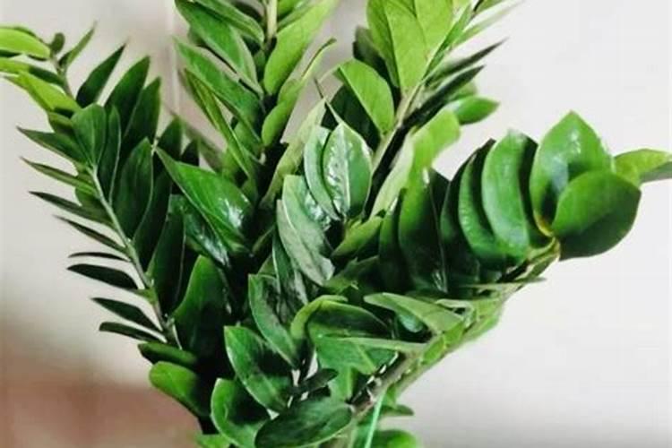 为什么要给狗狗吃黄糖？