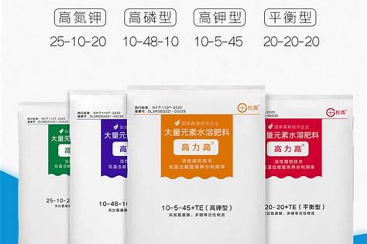 为什么用磷肥蘸根会促进新种桑树的生长？