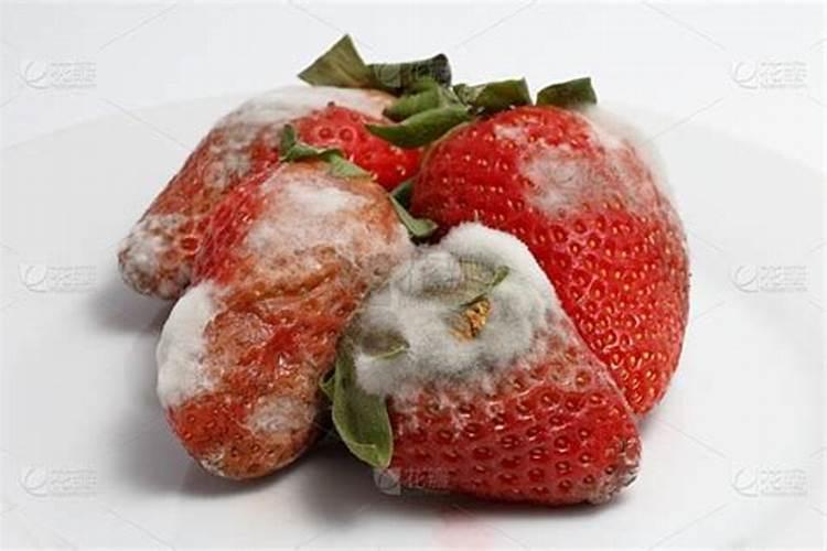 烂草莓可以当养花的肥料吗