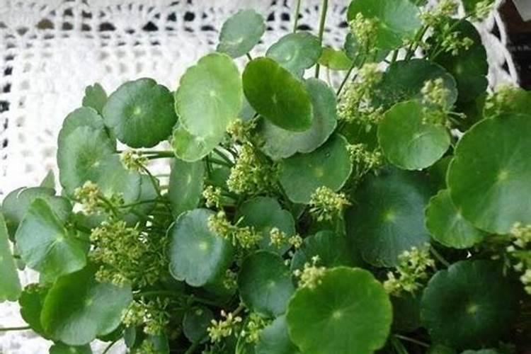 干燥剂烧火里了能有事吗