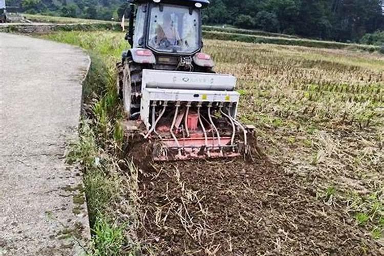 怎样根据油菜需肥特点进行施肥？
